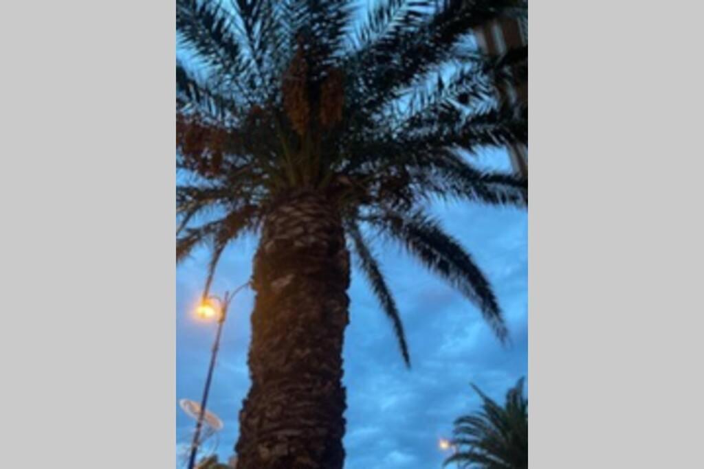 דירות הייר Escapade Au Port מראה חיצוני תמונה